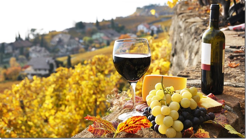 Importancia de la industria y la cultura del vino en la economía de España