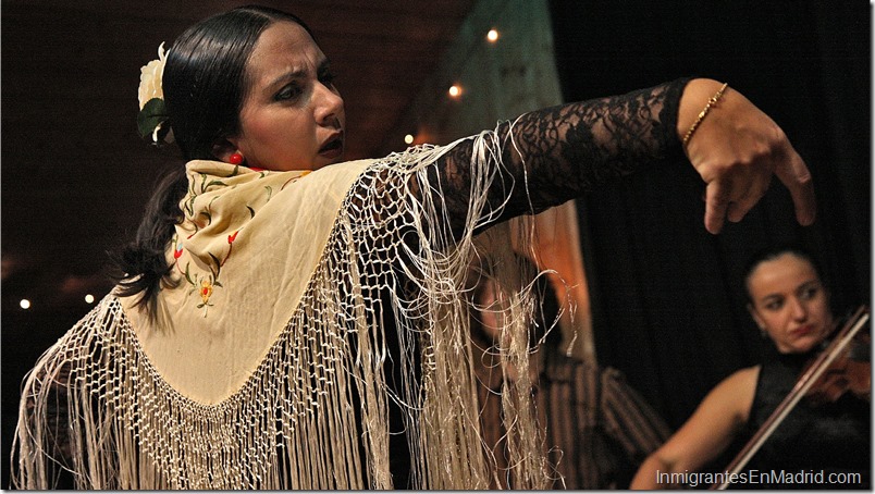 Exposición: Patrimonio flamenco; hasta el 02 de mayo en Madrid