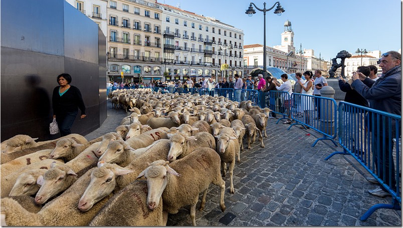 fiesta-trashumancia-madrid-fuente-wikipedia