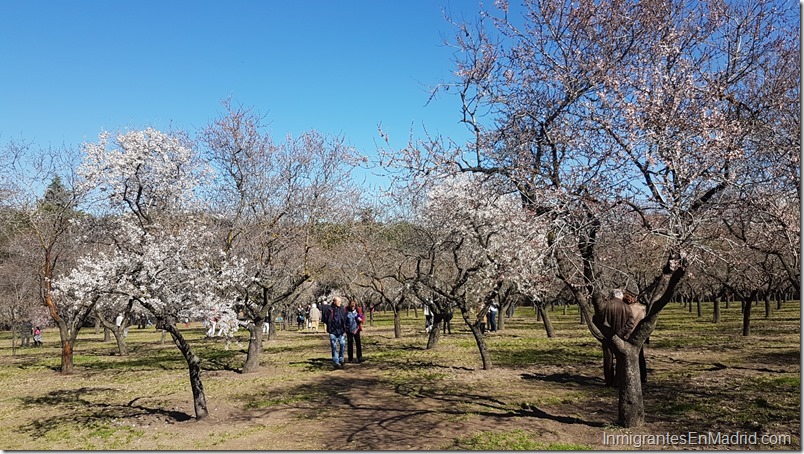 parque-quinta-de-los-molinos