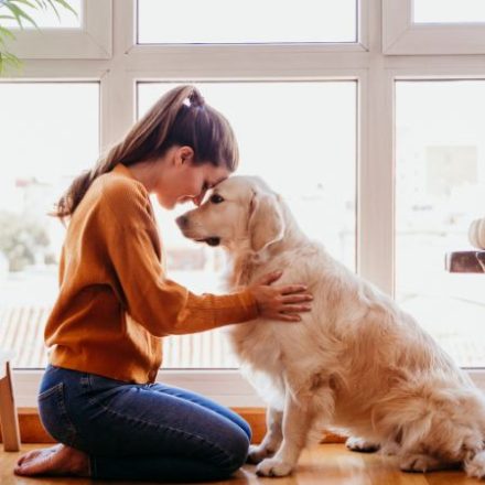 Administradores de fincas de Madrid recuerdan cómo debe ser la convivencia con mascotas