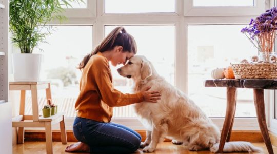 Administradores de fincas de Madrid recuerdan cómo debe ser la convivencia con mascotas